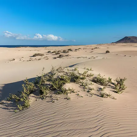 Apartment Casa Trisca 2bedroom Corralejo